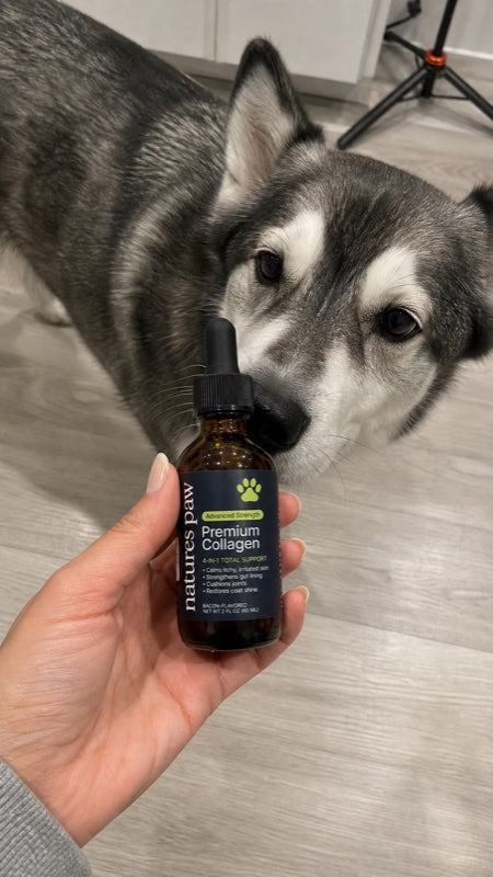 Customer photo from Danielle Y.'s review