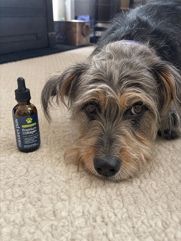 Customer photo from Jessica B.'s review