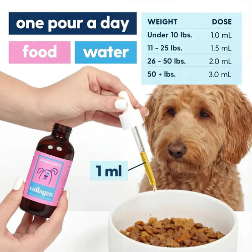 Nature's Paw™ Premium Liquid Collagen