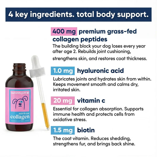 Premium Liquid Collagen