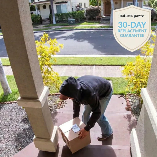 Porch Pirate Protection