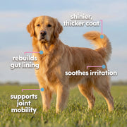 Nature's Paw® Premium Liquid Collagen