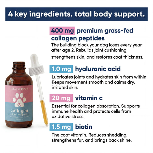 Nature's Paw® Premium Liquid Collagen