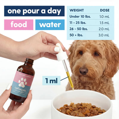 Nature's Paw® Premium Liquid Collagen