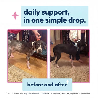 Nature's Paw® Premium Liquid Collagen