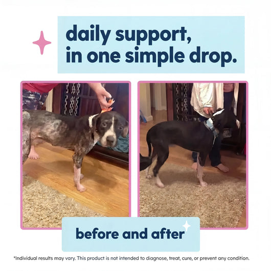 Nature's Paw® Premium Liquid Collagen