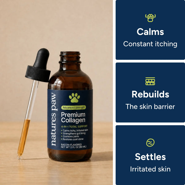 Nature's Paw® Premium Liquid Collagen