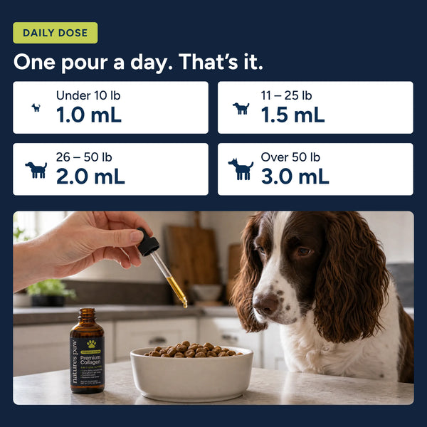 Nature's Paw® Premium Liquid Collagen