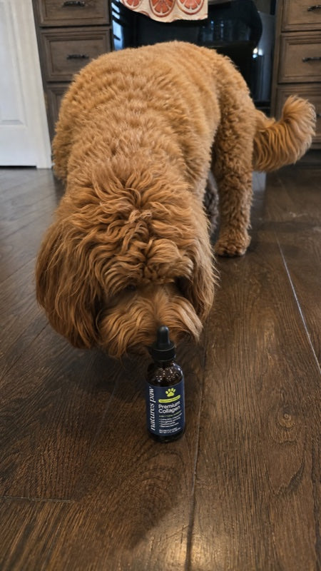 Customer photo from Michelle D.'s review: doodle sniffing the bottle