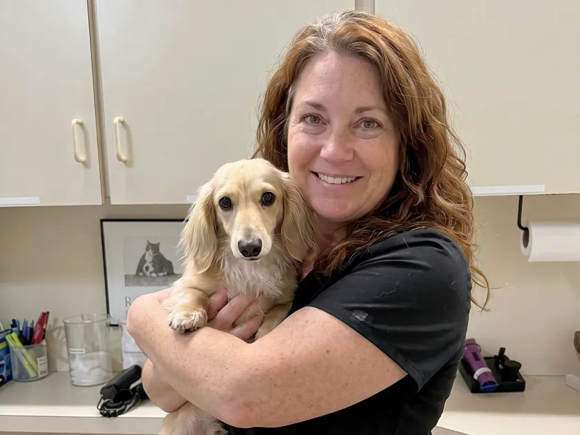 Dr. Camille Ostrander, DVM, holding a patient at her clinic